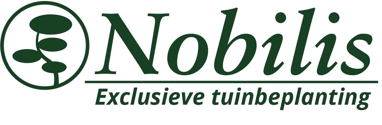 Nobilis Ens