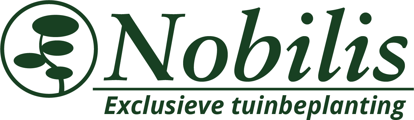 Nobilis Ens