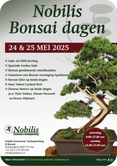 Nobilis Ens