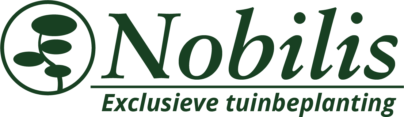 Nobilis Ens